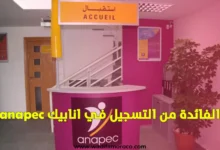 الفائدة من التسجيل في انابيك anapec