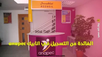 الفائدة من التسجيل في انابيك anapec