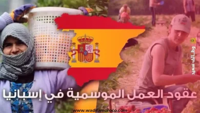 التسجيل في الفلاحة في إسبانيا 2025 1 تسجيل في موسم جني الفراولة بإسبانيا 2025