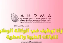 مباراة توظيف في الوكالة الوطنية للنباتات الطبية والعطرية