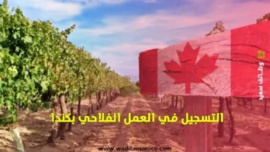 إذا كنت تبحث عن فرصة للعمل والهجرة إلى كندا، فإن هذه الوظيفة في المجال الفلاحي أي العمل الفلاحي بكندا قد تكون الخيار الأمثل لك.