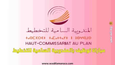 مباراة توظيف 30 منصب بالمندوبية السامية للتخطيط