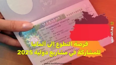 فرصة التطوع إلى ألمانيا للمشاركة في مشاريع دولية