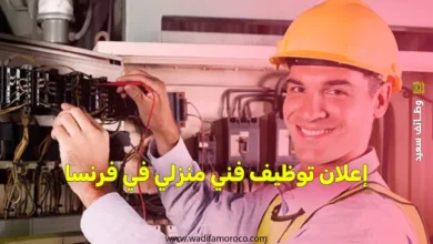 إعلان توظيف فني منزلي في فرنسا