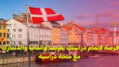 فرصة لإتمام دراستك بفرنسا وألمانيا والدنمارك مع منحة دراسية