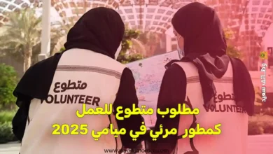 مطلوب متطوع للعمل كمطور مرئي في ميامي (فرنسا)