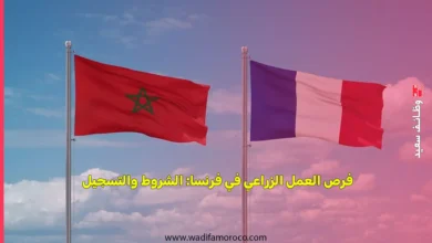 فرص العمل الزراعي في فرنسا: الشروط والتسجيل