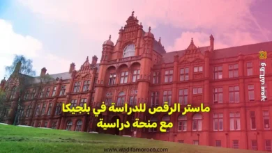 ماستر الرقص للدراسة في بلجيكا مع منحة دراسية