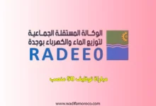 الوكالة المستقلة الجماعية لتوزيع الماء والكهرباء توظيف 50 منصب