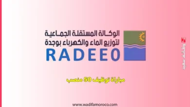 الوكالة المستقلة الجماعية لتوزيع الماء والكهرباء توظيف 50 منصب