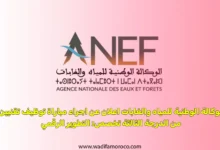 الوكالة الوطنية للمياه والغابات اعلان عن اجراء مباراة توظيف تقنيين من الدرجة الثالثة تخصص: التطوير الرقمي
