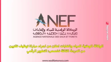 الوكالة الوطنية للمياه والغابات اعلان عن اجراء مباراة توظيف تقنيين من الدرجة الثالثة تخصص: التطوير الرقمي