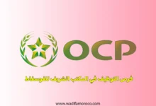 يتم الإعلان عن فرص العمل المتاحة في OCP عبر موقعه الرسمي للتوظيف، وكذلك عبر منصات التوظيف المختلفة. تمر عملية التوظيف عادة بمراحل متعددة تشمل
