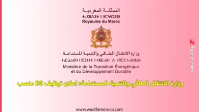 وزارة الانتقال الطاقي والتنمية المستدامة: اعلان توظيف 20 منصب