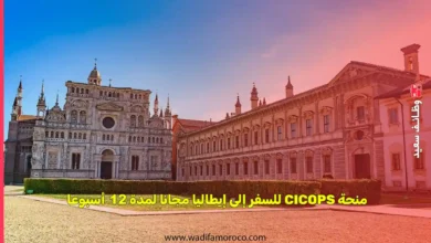 تم تخصيص منح CICOPS للتعاون البحثي على المدى القصير لتشجيع تنقل الباحثين من الدول النامية