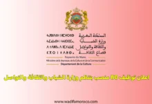 تنظم وزارة الشباب والثقافة والتواصل - قطاع الثقافة، يوم 05 يوليوز 2025 بالمعهد الوطني لعلوم الآثار والتراث، مباراة لتوظيف تقنيين من الدرجة الثالثة
