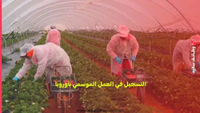 التسجيل في العمل الموسمي بأوروبا 2025