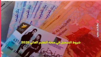 شروط التسجيل في منحة التعليم العالي 2025