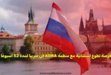 فرصة تطوع استثنائية مع منظمة ADRA في صربيا لمدة 52 أسبوعا
