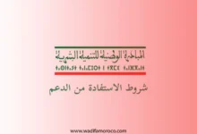 مشاريع للاستفادة من دعم المبادرة الوطنية للتنمية البشرية 2025