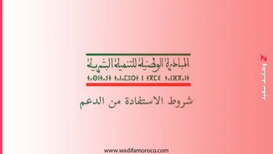 مشاريع للاستفادة من دعم المبادرة الوطنية للتنمية البشرية 2025