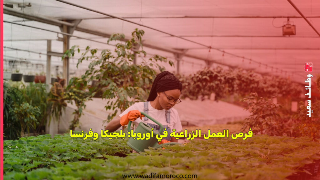 فرص العمل الزراعية في أوروبا: بلجيكا وفرنسا