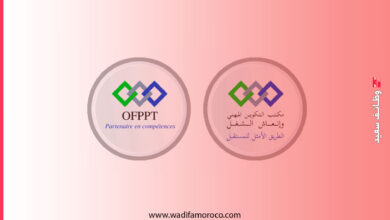 يعلن المكتب الوطني للتكوين المهني وإنعاش الشغل ofppt عن مباراة لتوظيف 768 بمختلف التخصصات والمدن بالمغرب، أسفله جدول تفصيلي