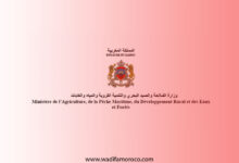 وزارة الفلاحة والصيد البحري والتنمية القروية والمياه والغابات تفتح باب التوظيف لـ 30 منصباً