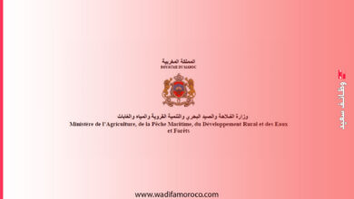 وزارة الفلاحة والصيد البحري والتنمية القروية والمياه والغابات تفتح باب التوظيف لـ 30 منصباً