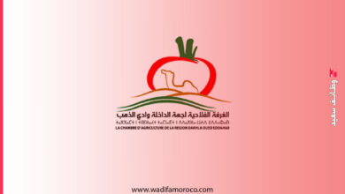 الغرفة الفلاحية لجهة الداخلة وادي الذهب مباراة لتوظيف 3 مناصب