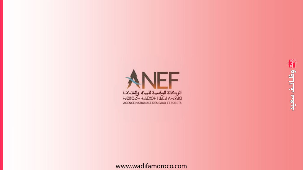 الوكالة الوطنية للمياه والغابات- مباريات توظيف 10 متصرفين و 28 قني ثم 30 مهندس دولة 1 الوكالة الوطنية للمياه والغابات- مباريات توظيف 10 متصرفين و 28 قني ثم 30 مهندس دولة