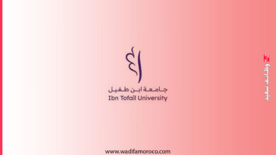 جامعة ابن طفيل بالقنيطرة- مبارة لتوظيف ثلاثة وثلاثين (33) أستاذاً محاضراً 2 جامعة ابن طفيل بالقنيطرة- مبارة لتوظيف ثلاثة وثلاثين (33) أستاذاً محاضراً