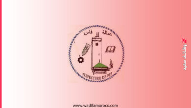 عمالة فاس: مباريات مشتركة لتوظيف أطباء وممرضين وتقنيي الصحة بمختلف الدرجات - 106 منصب