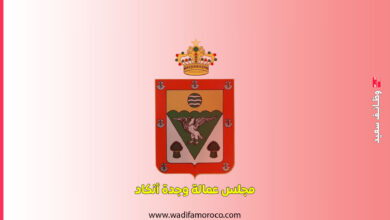 مباريات مشتركة لتوظيف الأطر الطبية وشبه الطبية بمجالس الأقاليم التابعة لجهة الشرق