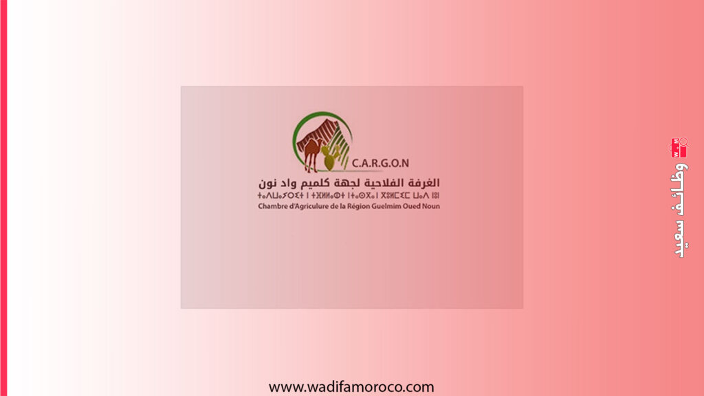 مباراة توظيف 5 مناصب بالغرفة الفلاحية لجهة كلميم واد نون - آخر أجل 15 يناير 2026 1 مباراة توظيف 5 مناصب بالغرفة الفلاحية لجهة كلميم واد نون - آخر أجل 15 يناير 2026