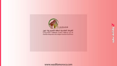 مباراة توظيف 5 مناصب بالغرفة الفلاحية لجهة كلميم واد نون - آخر أجل 15 يناير 2026