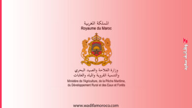 مباراة توظيف تقنيين من الدرجة الثالثة بوزارة الفلاحة والصيد البحري والتنمية القروية والمياه والغابات 2025 3 مباراة توظيف تقنيين من الدرجة الثالثة بوزارة الفلاحة والصيد البحري والتنمية القروية والمياه والغابات 2025