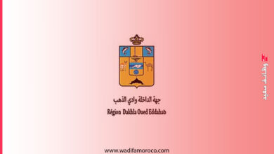 مباريات توظيف أطباء، ممرضون، تقنيو صحة وتقنيون بجهة الداخلة وادي الذهب - 21 منصب 7 مباريات توظيف أطباء، ممرضون، تقنيو صحة وتقنيون بجهة الداخلة وادي الذهب - 21 منصب