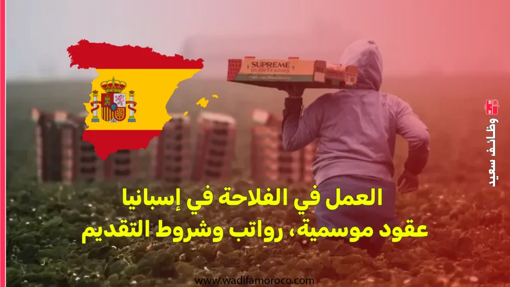العمل في الفلاحة في إسبانيا: عقود موسمية، رواتب وشروط التقديم