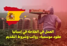 العمل في الفلاحة في إسبانيا: عقود موسمية، رواتب وشروط التقديم