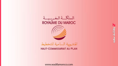 المندوبية السامية للتخطيط – مباراة لتوظيف 3 أستاذة محاضرين من الدرجة أ - سُلمْ 11 4 المندوبية السامية للتخطيط – مباراة لتوظيف 3 أستاذة محاضرين من الدرجة أ - سُلمْ 11