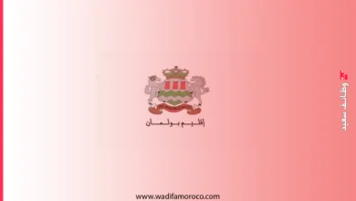 عمالة إقليم بولمان - مباريات لتوظيف 12 إطارا (مهندسين معماريين، مهندسي دولة، ومتصرفين) 2 عمالة إقليم بولمان - مباريات لتوظيف 12 إطارا (مهندسين معماريين، مهندسي دولة، ومتصرفين)