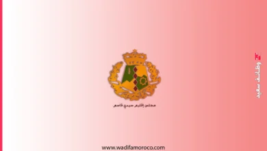 عمالة سيدي قاسم - مباريات توظيف مهندسين و متصرفين و تقنيين و محررين (30 منصبا) 5 عمالة إقليم سيدي قاسم تعلن عن مباريات لتوظيف مهندسين ومتصرفين وتقنيين ومحررين (30 منصبًا)