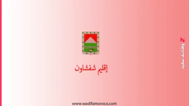 عمالة إقليم شفشاون - مباريات لتوظيف 30 منصباً في درجات وتخصصات مختلفة