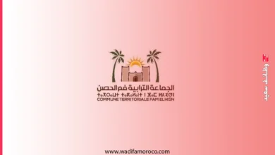 مباراة توظيف 6 تقنيين بجماعة فم الحصن إقليم طاطا - آخر أجل 30 مارس 2026