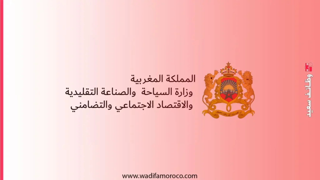 كتابة الدولة المكلفة بالصناعة التقليدية والاقتصاد الاجتماعي والتضامني