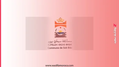 مباراة توظيف 10 تقنيين بجماعة سيدي بيبي إقليم الشتوكة ايت باها 3 مباراة توظيف 10 تقنيين بجماعة سيدي بيبي إقليم الشتوكة ايت باها