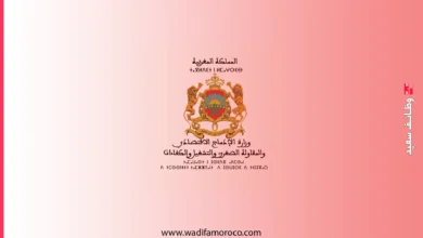 وزارة الإدماج الاقتصادي والمقاولة الصغرى والتشغيل والكفاءات -قطاع التشغيل-