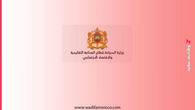 وزارة السياحة والصناعة التقليدية والاقتصاد الاجتماعي والتضامني