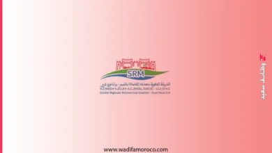 الشركة الجهوية متعددة الخدمات كلميم – وادي نون SRM-GO مباراة توظيف 9 عمال تنفيذ